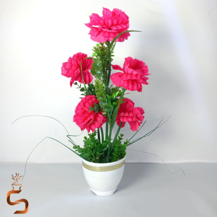 گل داوودی 5 گل در گلدان سفید