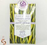 کود مخصوص سانسوریا